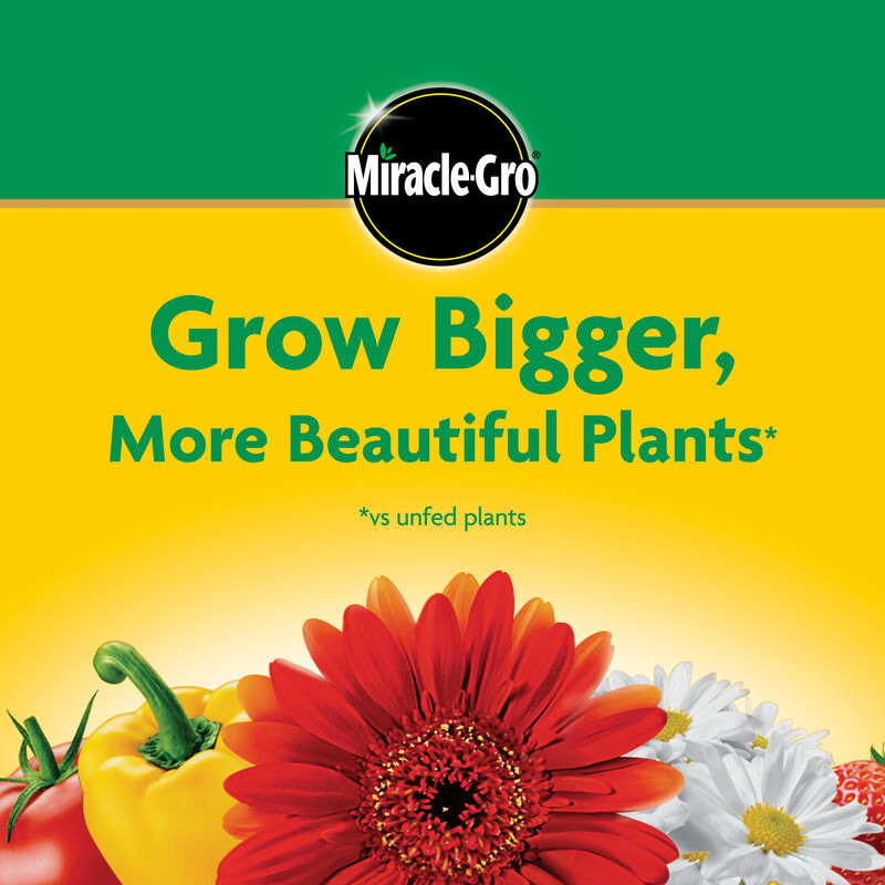 Miracle-Gro® Water Soluble All Purpose Plant Food and Garden Feeder Bundle image number null